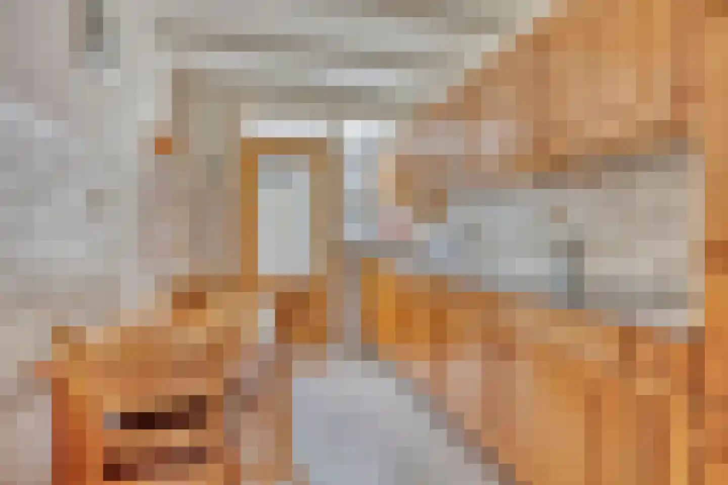Keizersdwarsweg 48 Winterswijk thumbnail 7