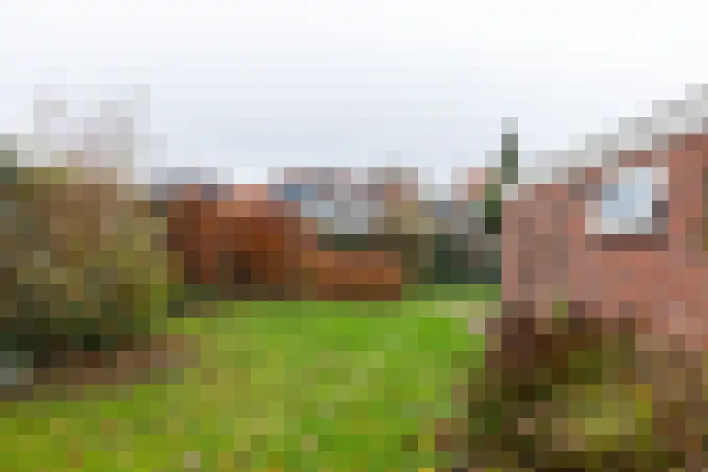 Keizersdwarsweg 6 Winterswijk thumbnail 34