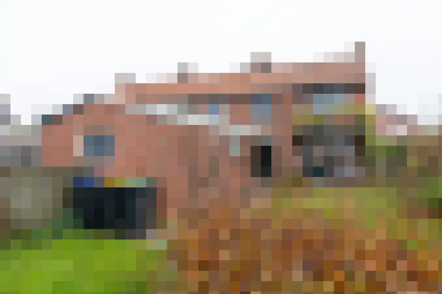 Keizersdwarsweg 6 Winterswijk thumbnail 36