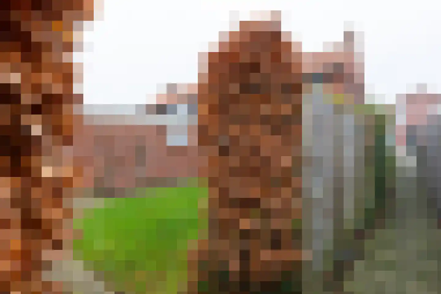 Keizersdwarsweg 6 Winterswijk thumbnail 37