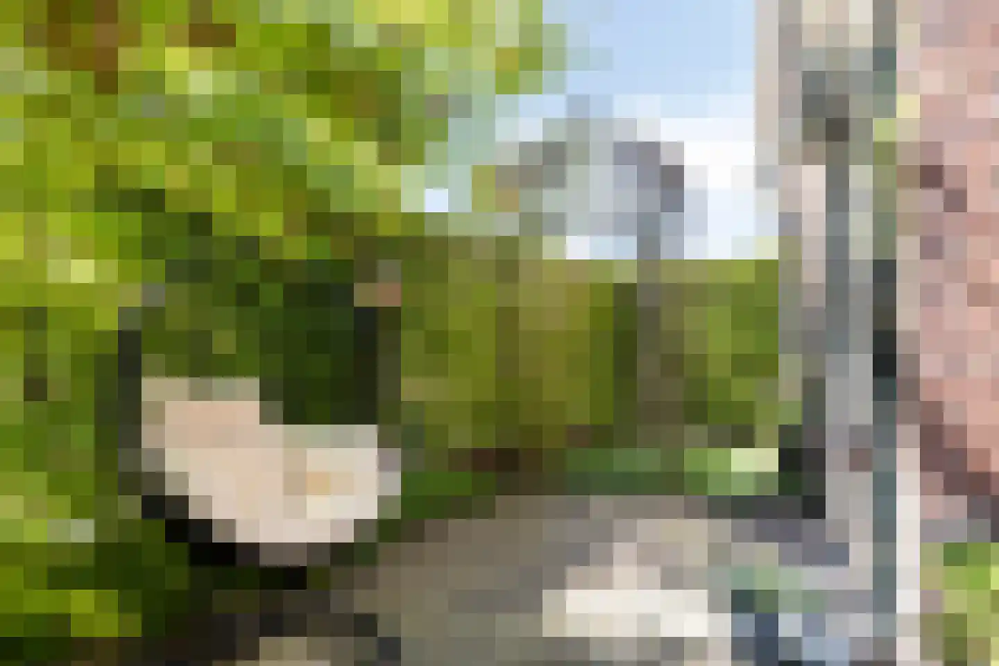Keizersdwarsweg 71 Winterswijk thumbnail 39