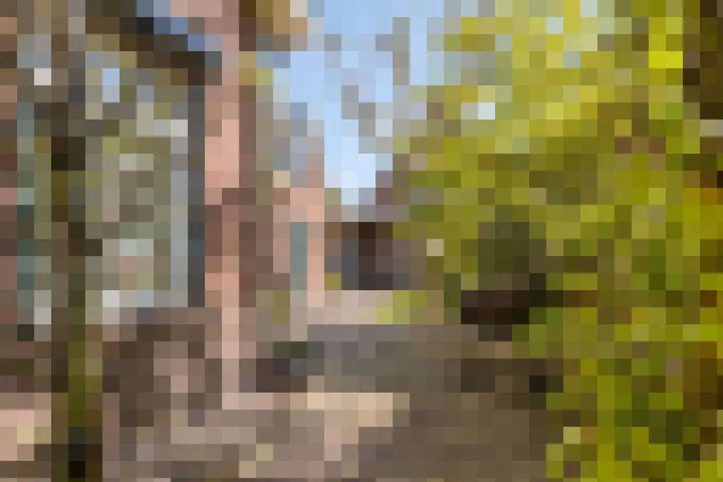 Keizersdwarsweg 71 Winterswijk thumbnail 42