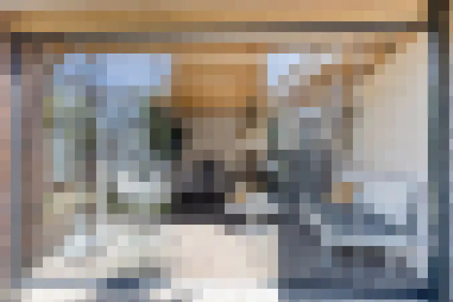 Keizersdwarsweg 71 Winterswijk thumbnail 43