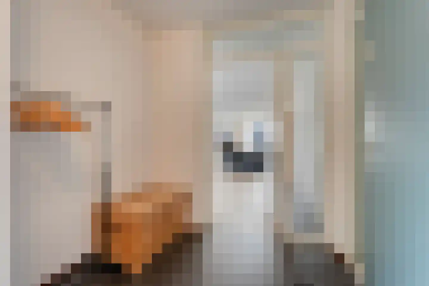 Keizerserf 46 Nijverdal thumbnail 10