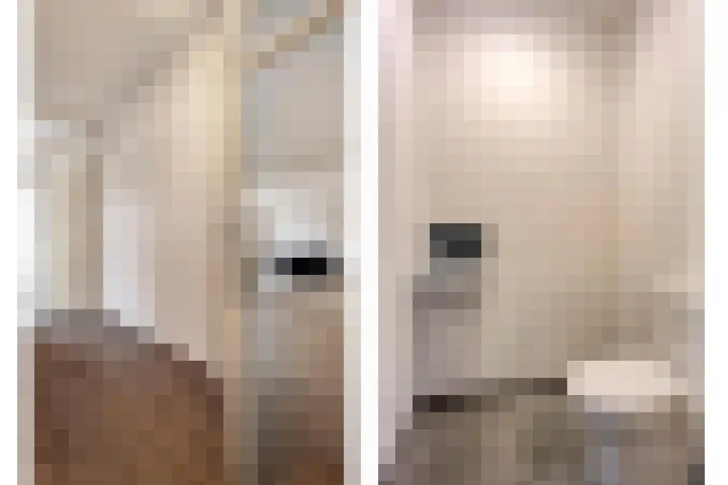 Keizerserf 46 Nijverdal thumbnail 23