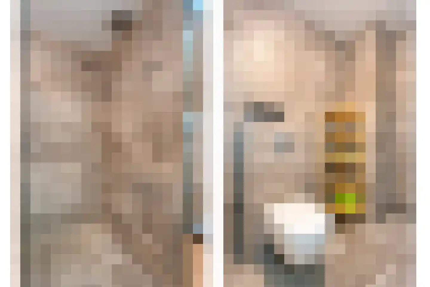Keizerserf 46 Nijverdal thumbnail 28