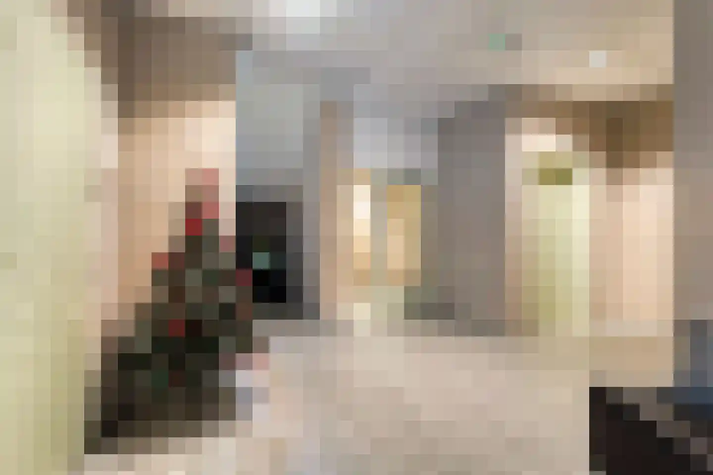 Keizerserf 46 Nijverdal thumbnail 32