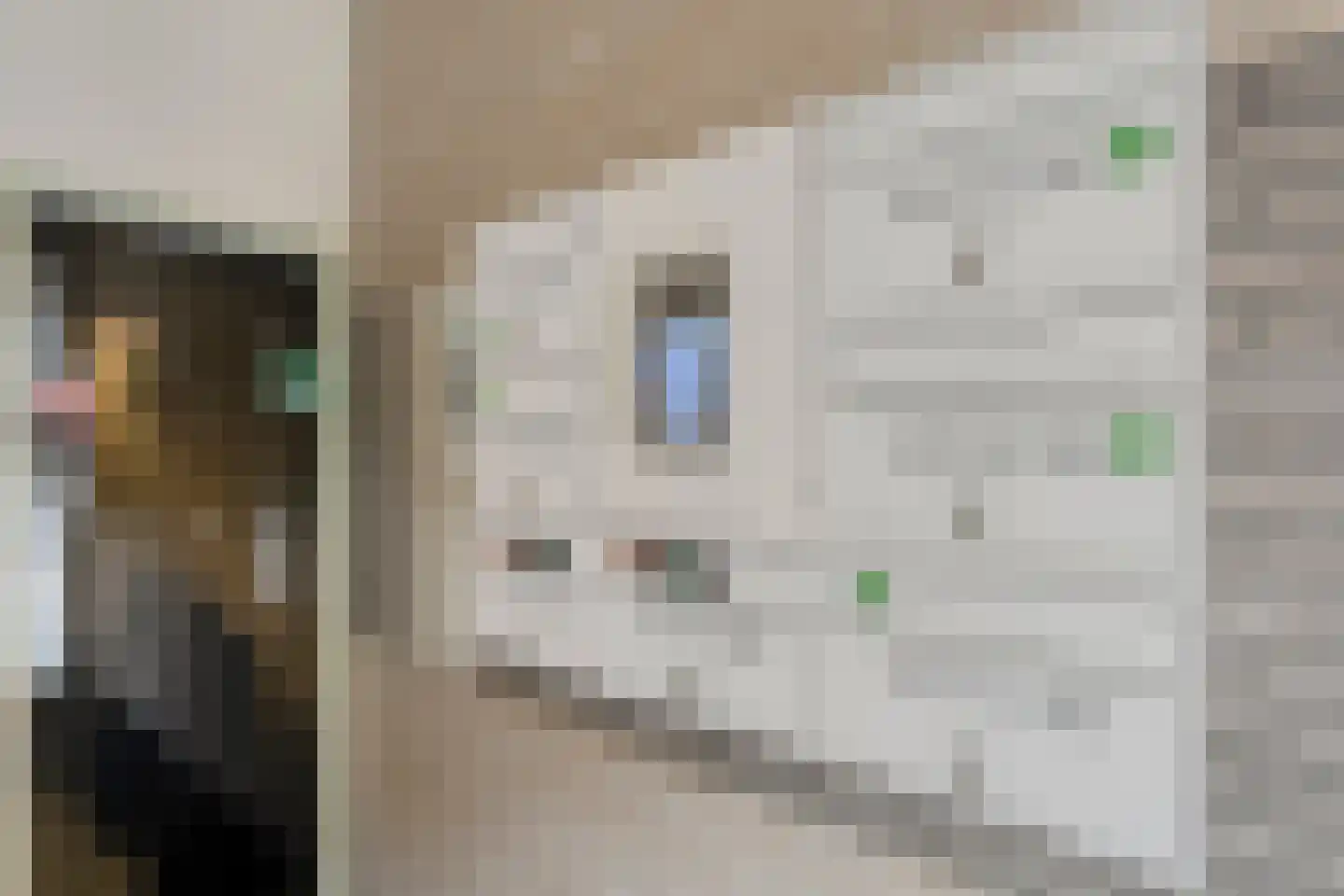 Keizerserf 46 Nijverdal thumbnail 6