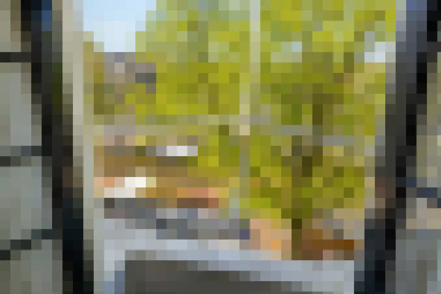 Keizersgracht 107 C Amsterdam thumbnail 11