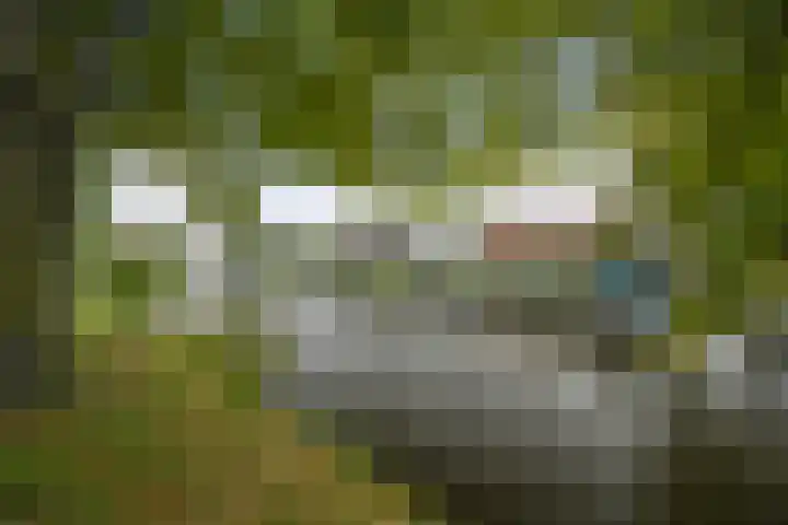 Keizersgracht 116 Den Helder thumbnail 4