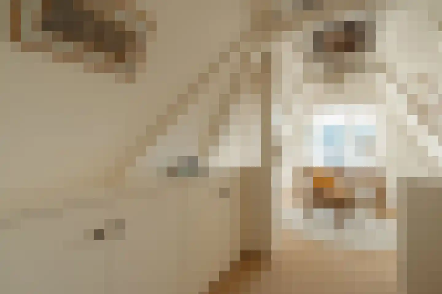 Keizersgracht 12 E Amsterdam thumbnail 30