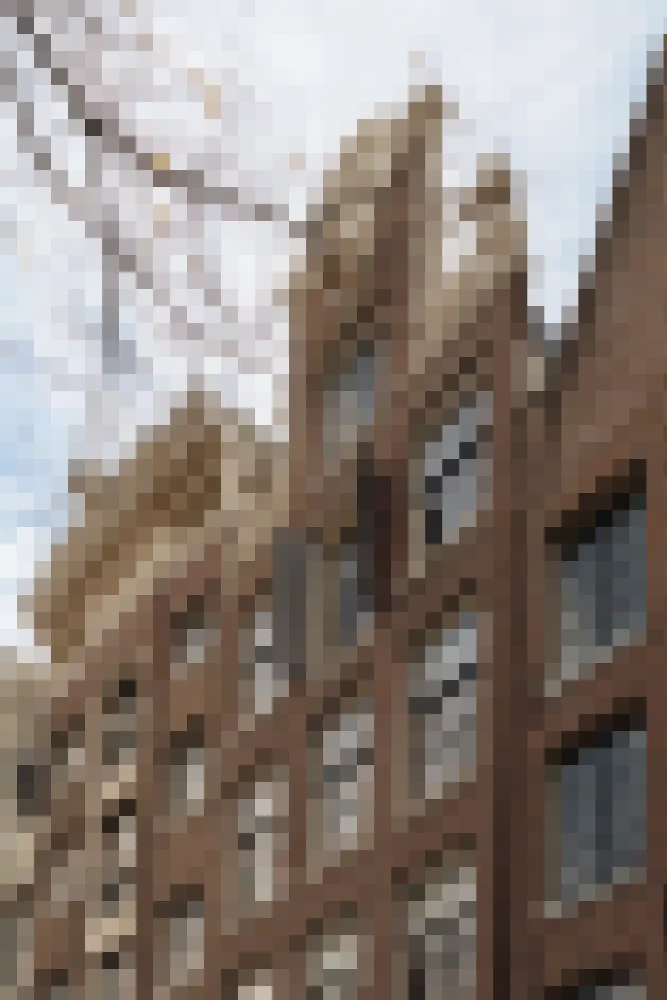 Keizersgracht 12 E Amsterdam thumbnail 5
