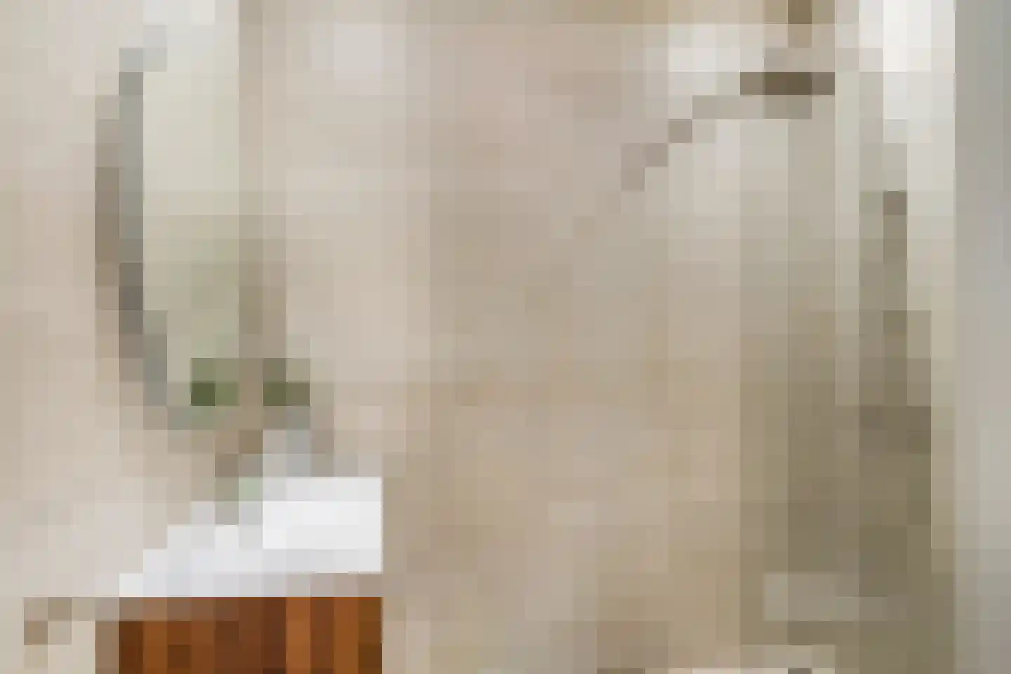 Keizersgracht 14 Utrecht thumbnail 6