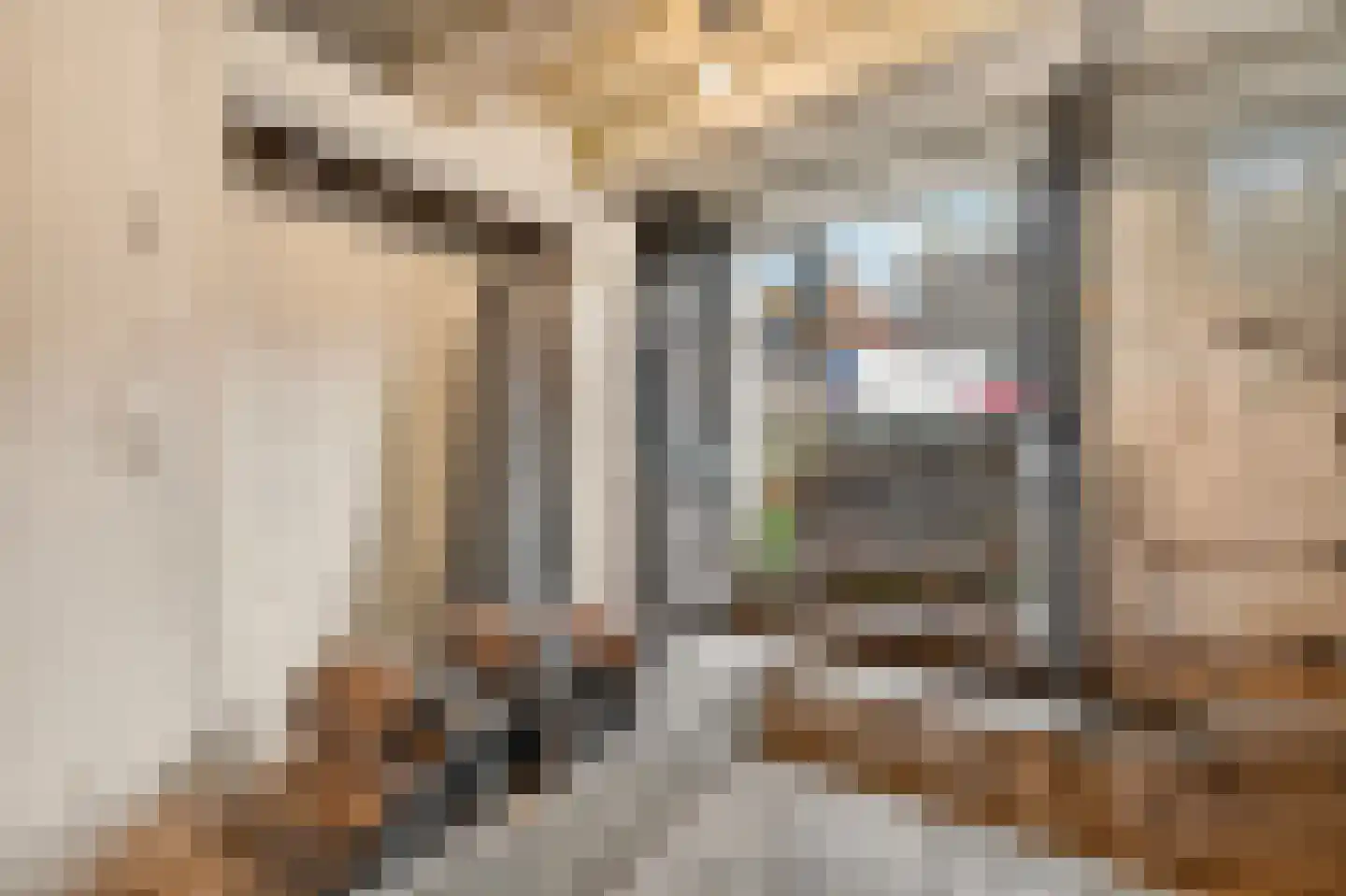 Keizersgracht 154 A Amsterdam thumbnail 42