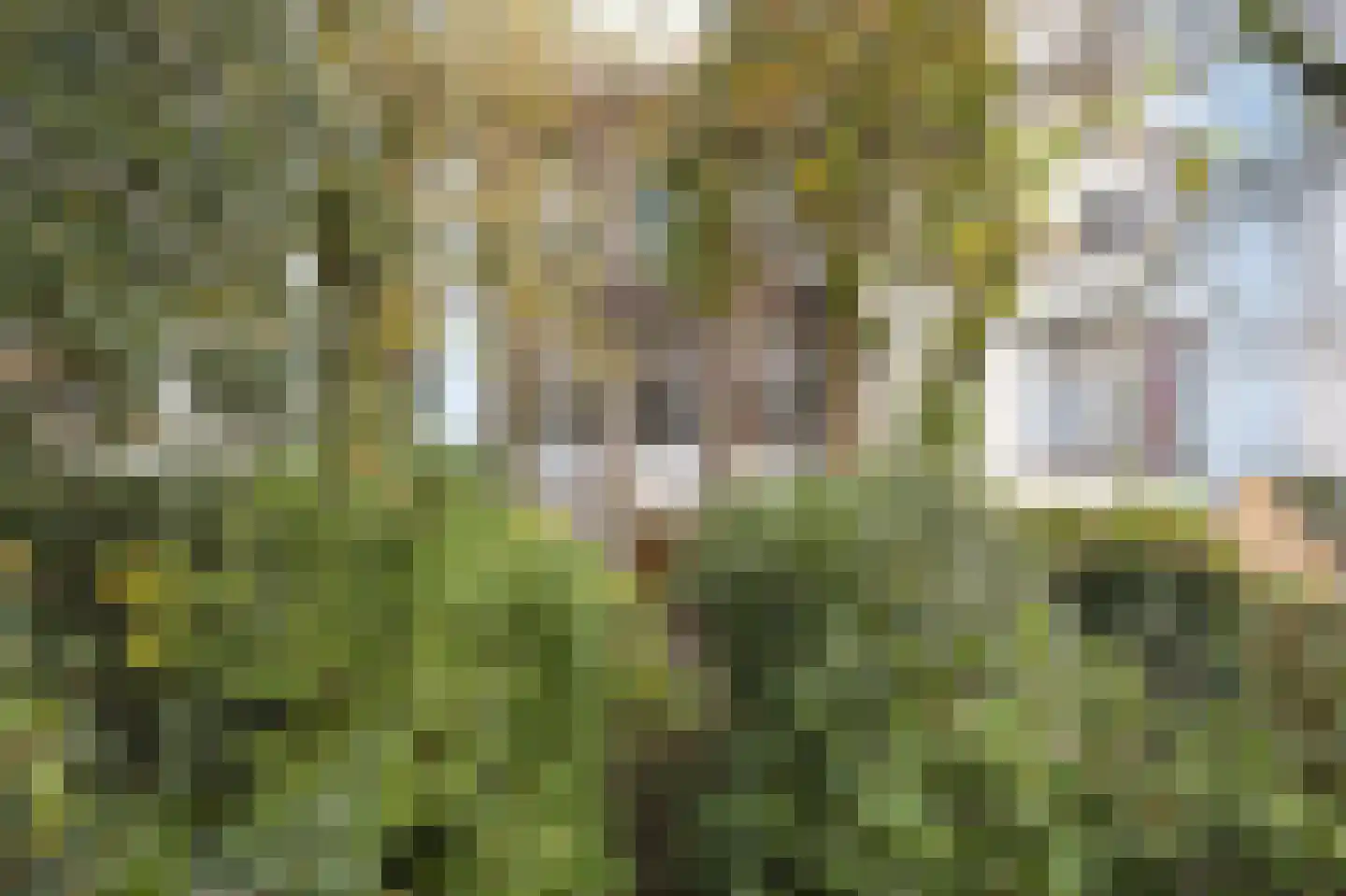 Keizersgracht 154 A Amsterdam thumbnail 60