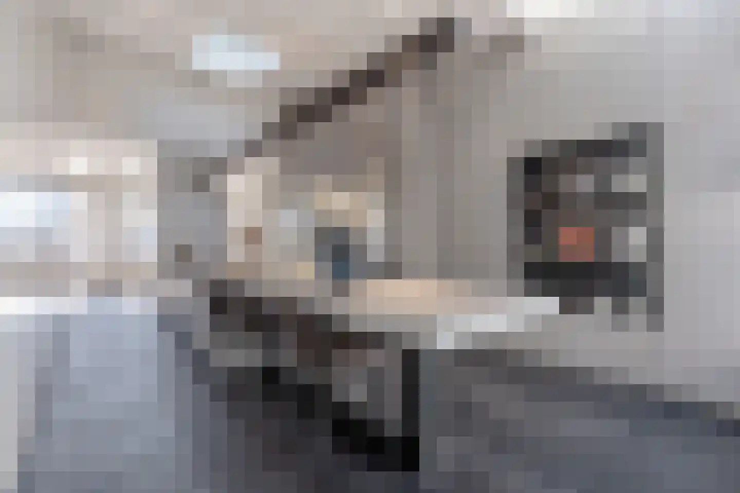Keizersgracht 18 D Amsterdam thumbnail 7