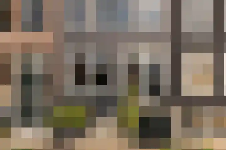 Keizersgracht 2 1 Amsterdam thumbnail 6