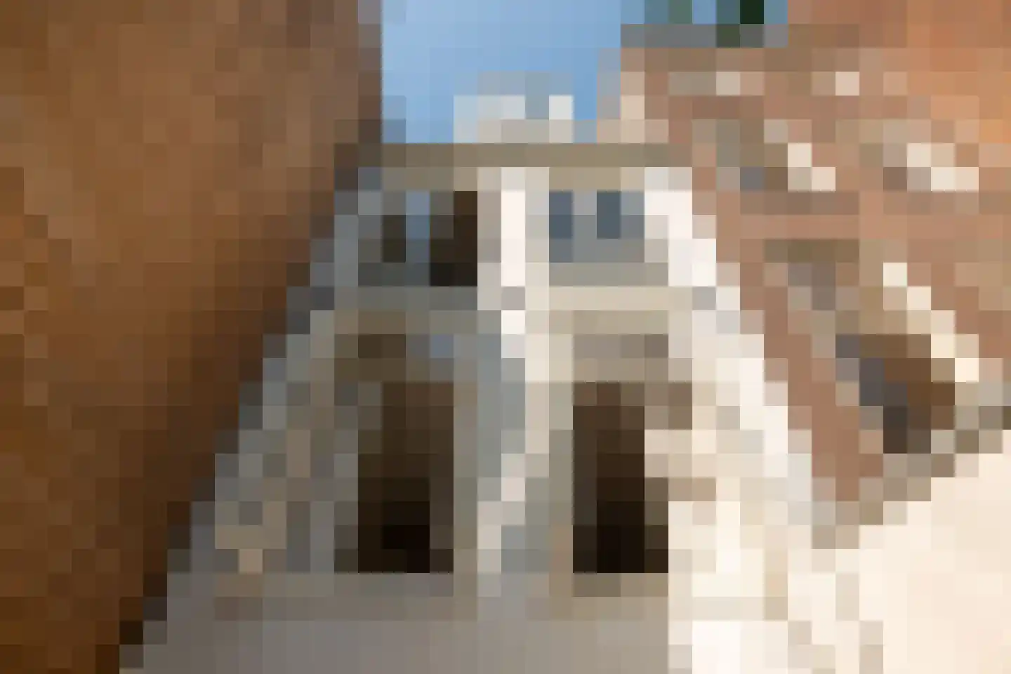 Keizersgracht 21 A Amsterdam thumbnail 48