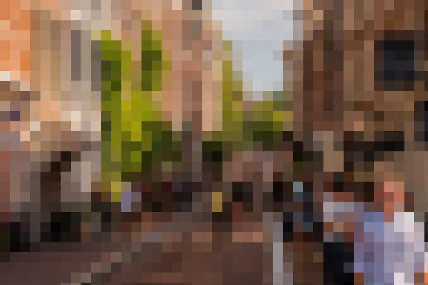 Keizersgracht 21 A Amsterdam thumbnail 71
