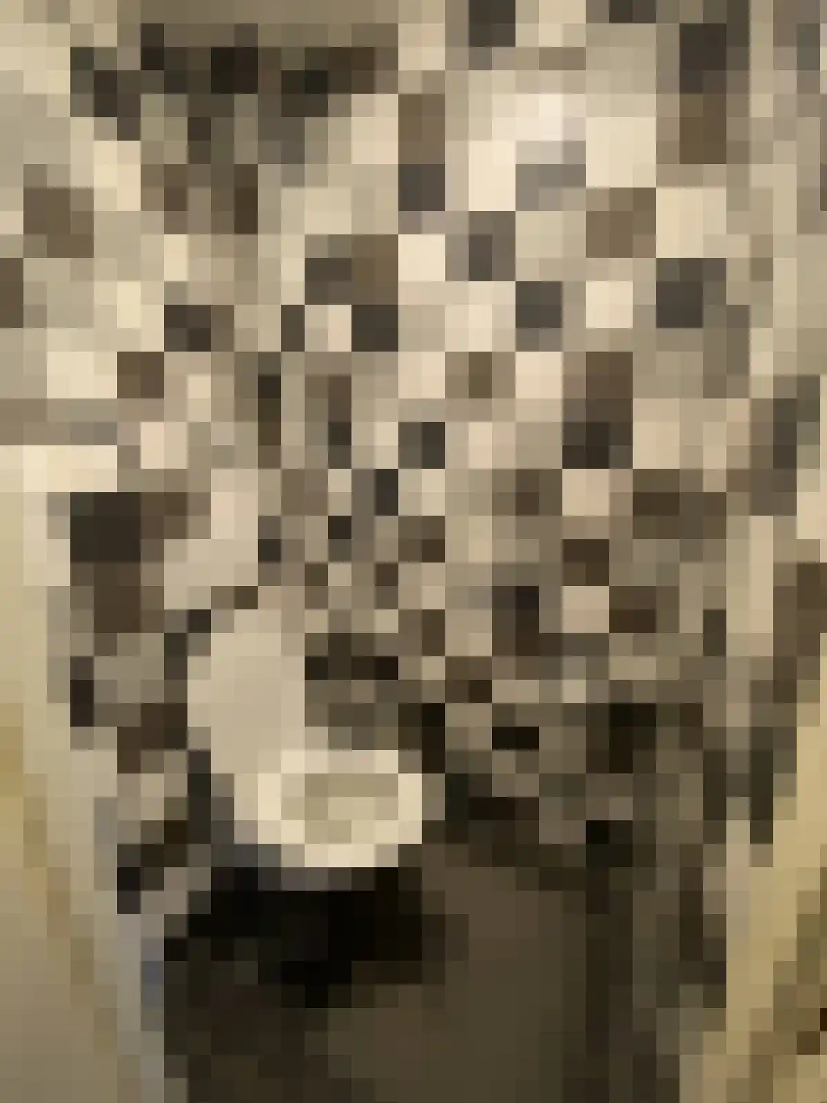 Keizersgracht 21 Eindhoven thumbnail 6
