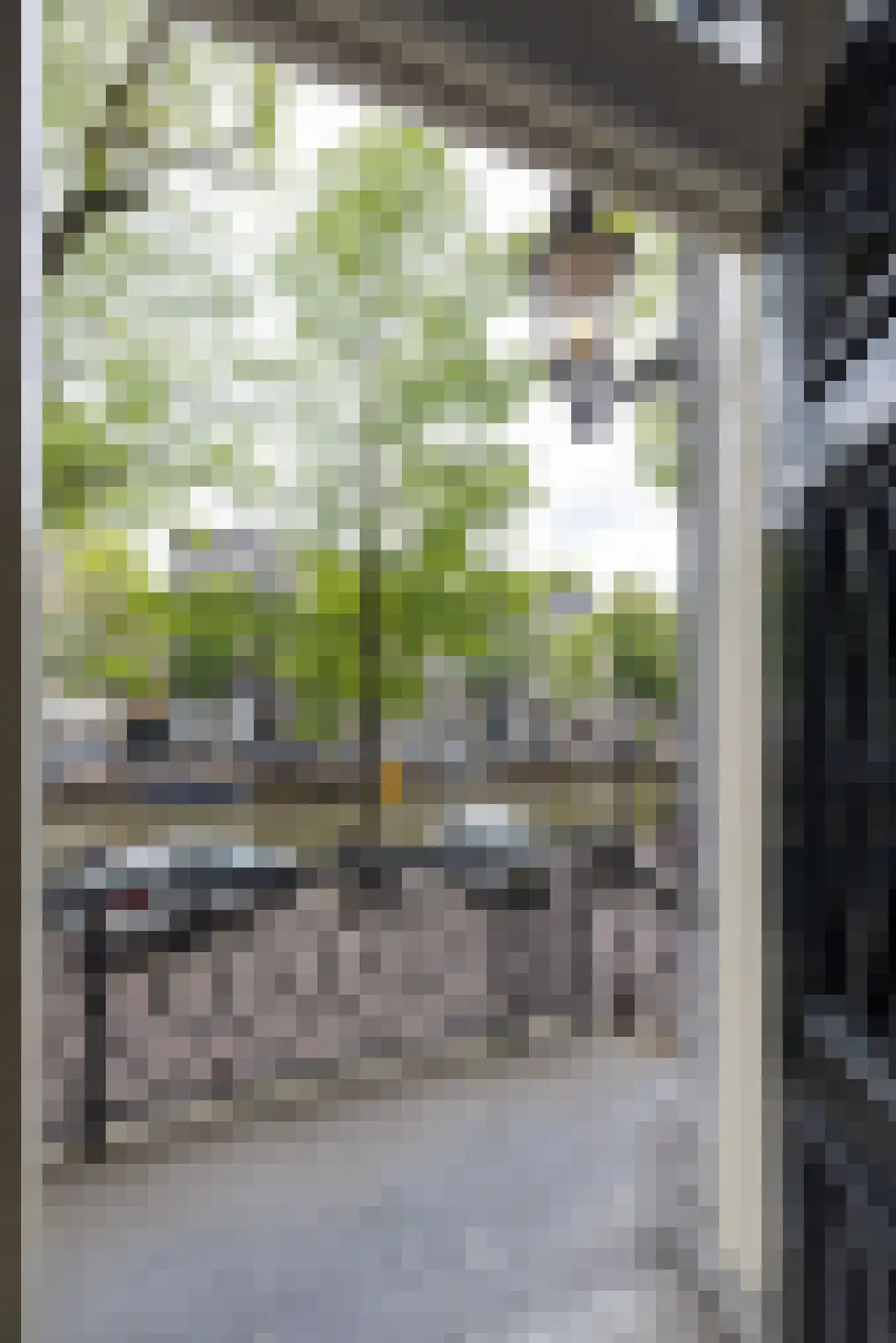 Keizersgracht 216 A Amsterdam thumbnail 12