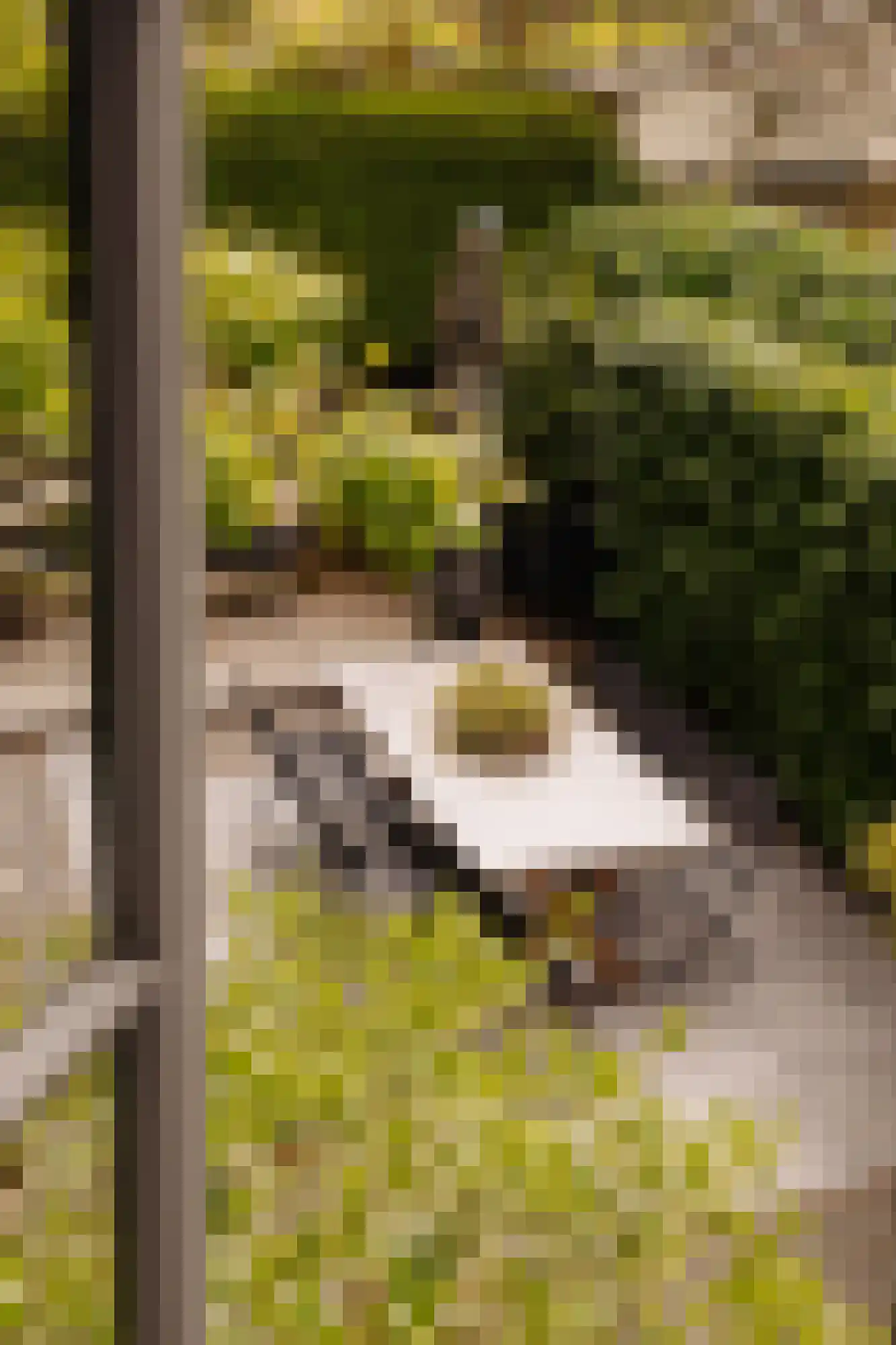 Keizersgracht 223 A Amsterdam thumbnail 22