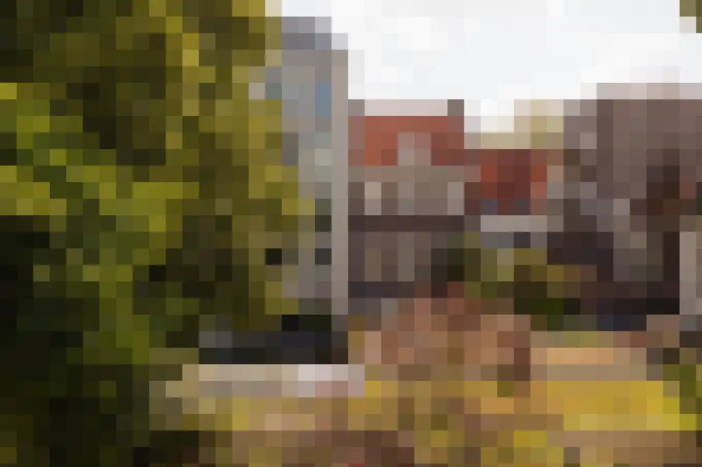 Keizersgracht 223 A Amsterdam thumbnail 28