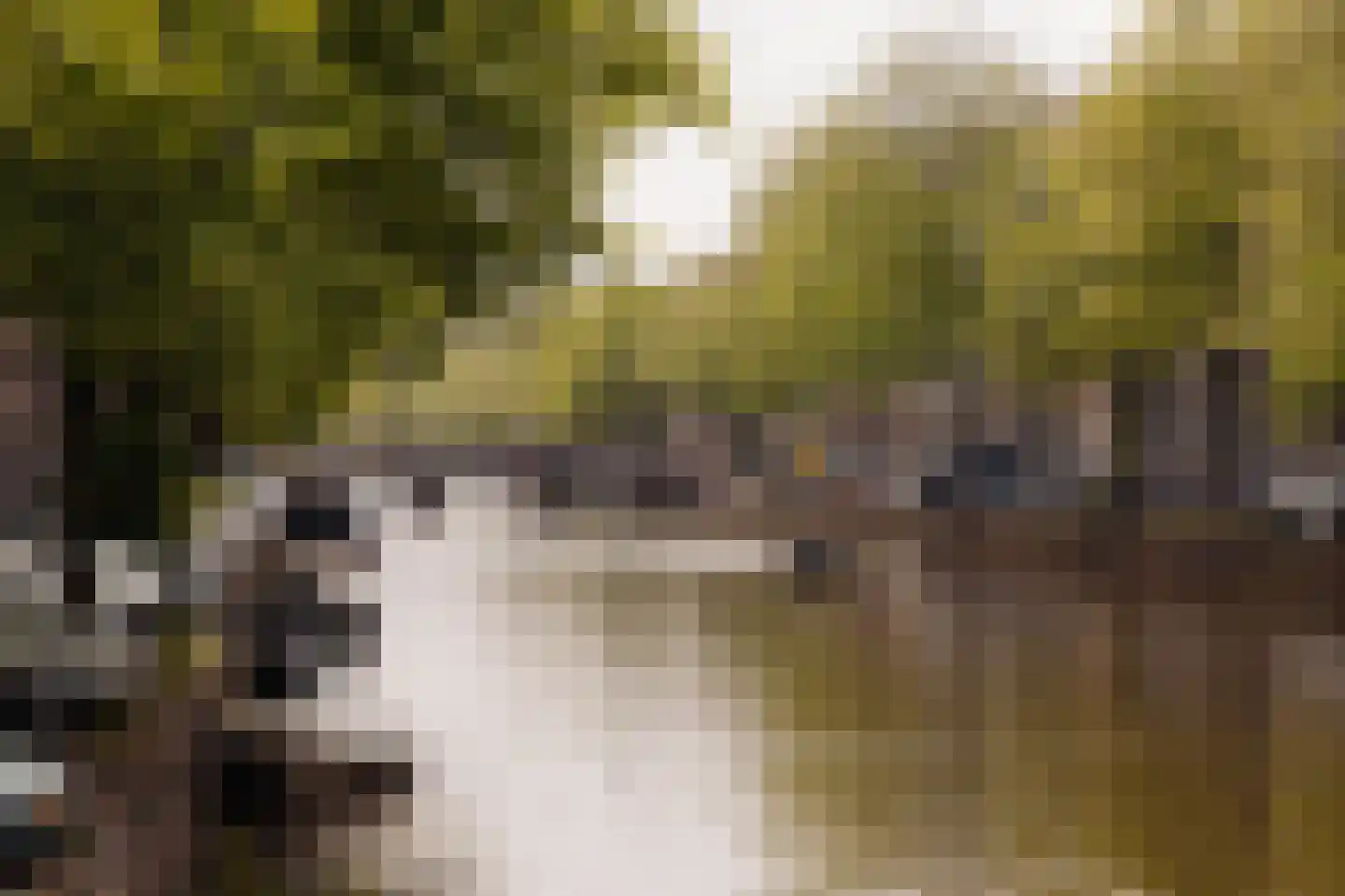 Keizersgracht 223 A Amsterdam thumbnail 46