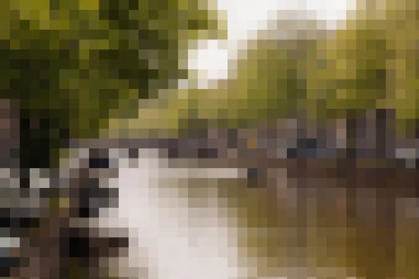 Keizersgracht 223 A Amsterdam thumbnail 46