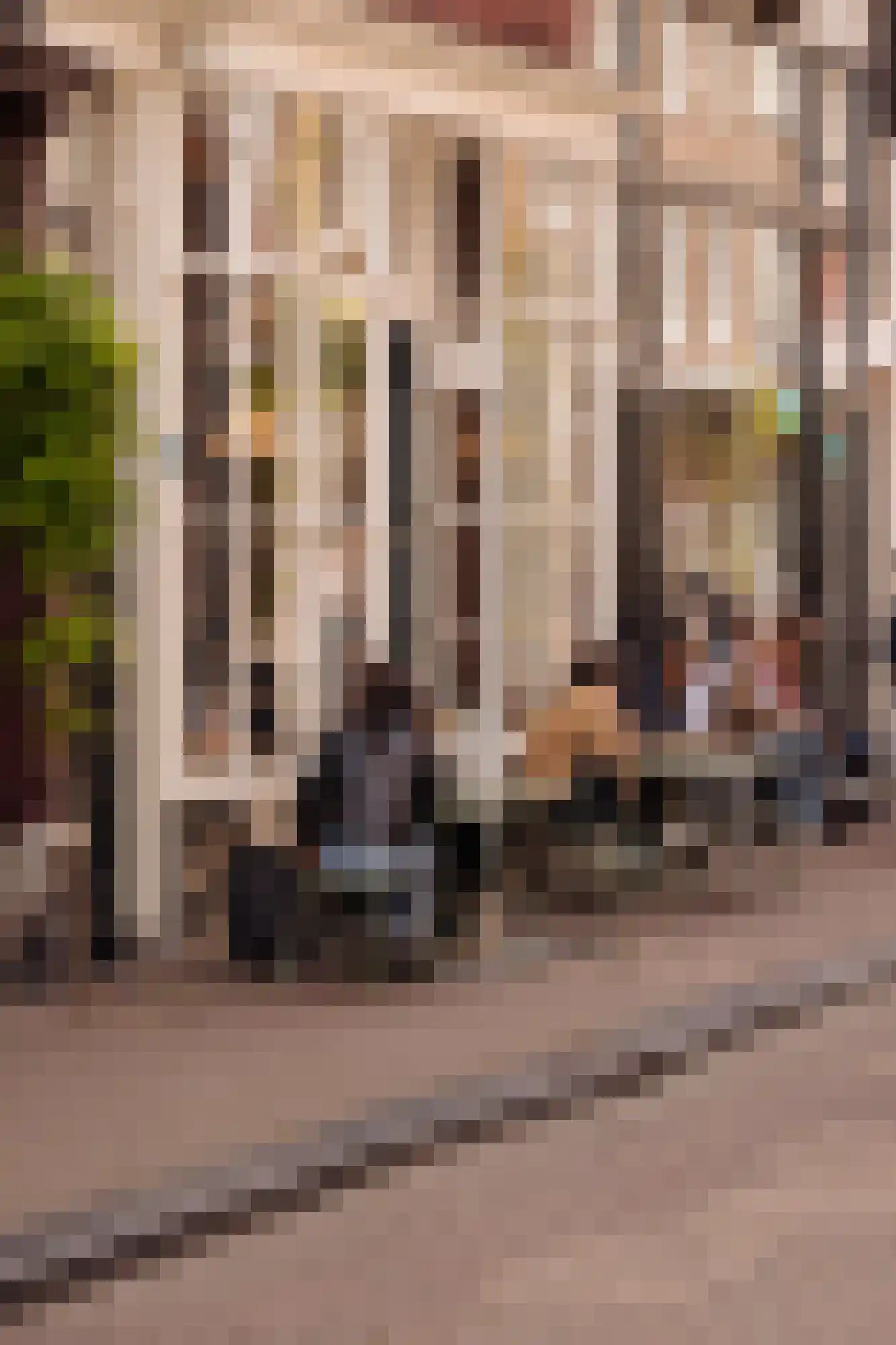 Keizersgracht 223 A Amsterdam thumbnail 47