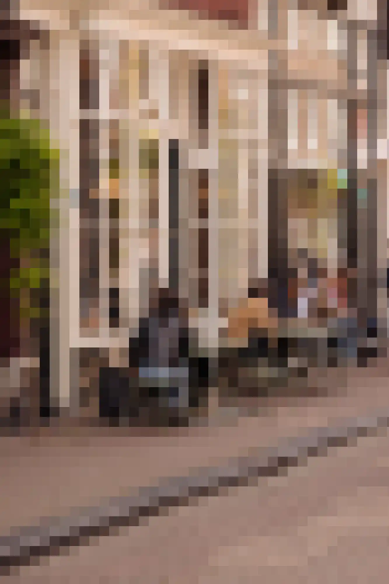 Keizersgracht 223 A Amsterdam thumbnail 47