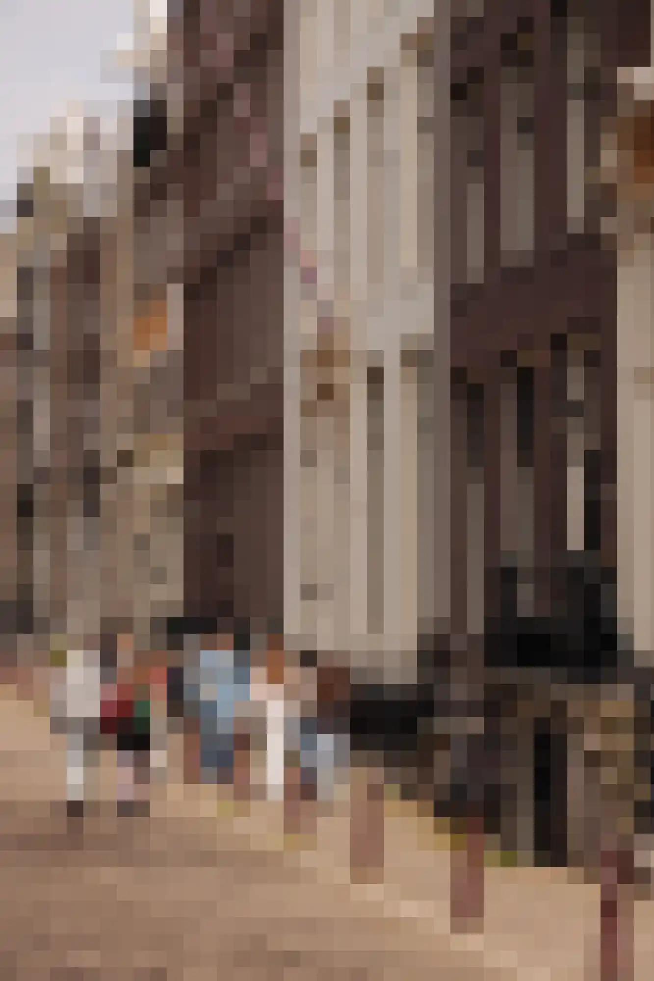 Keizersgracht 223 A Amsterdam thumbnail 48