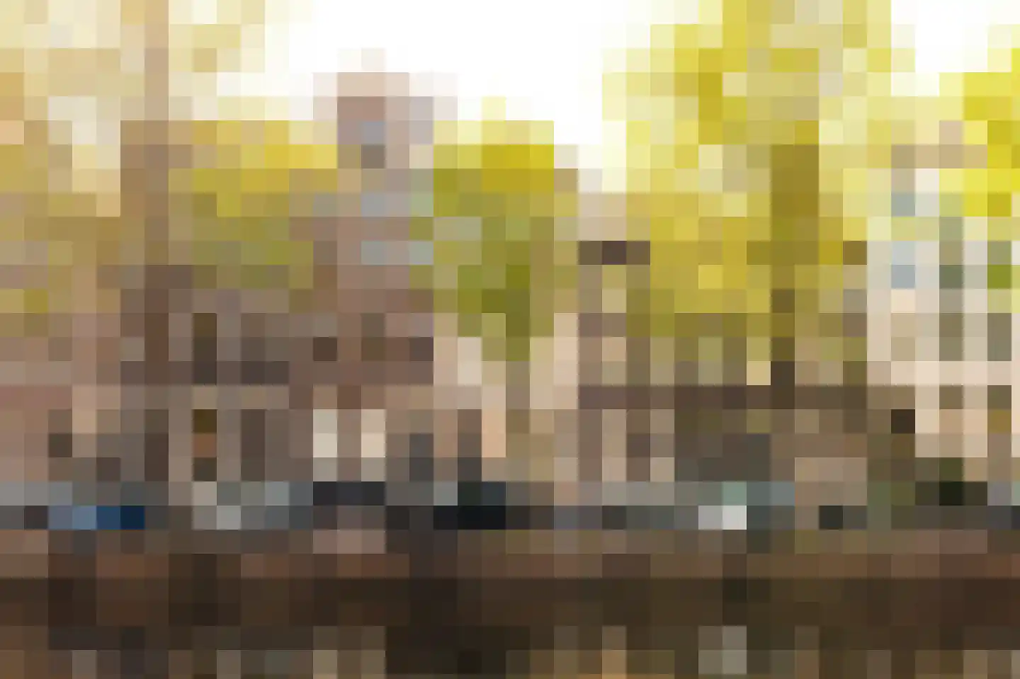 Keizersgracht 254 A Amsterdam thumbnail 33