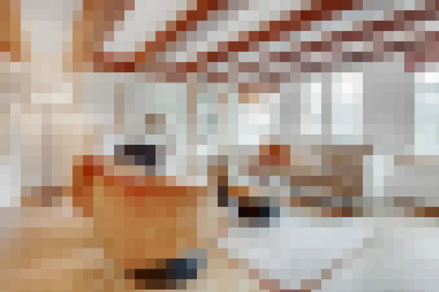 Keizersgracht 254 C Amsterdam thumbnail 19