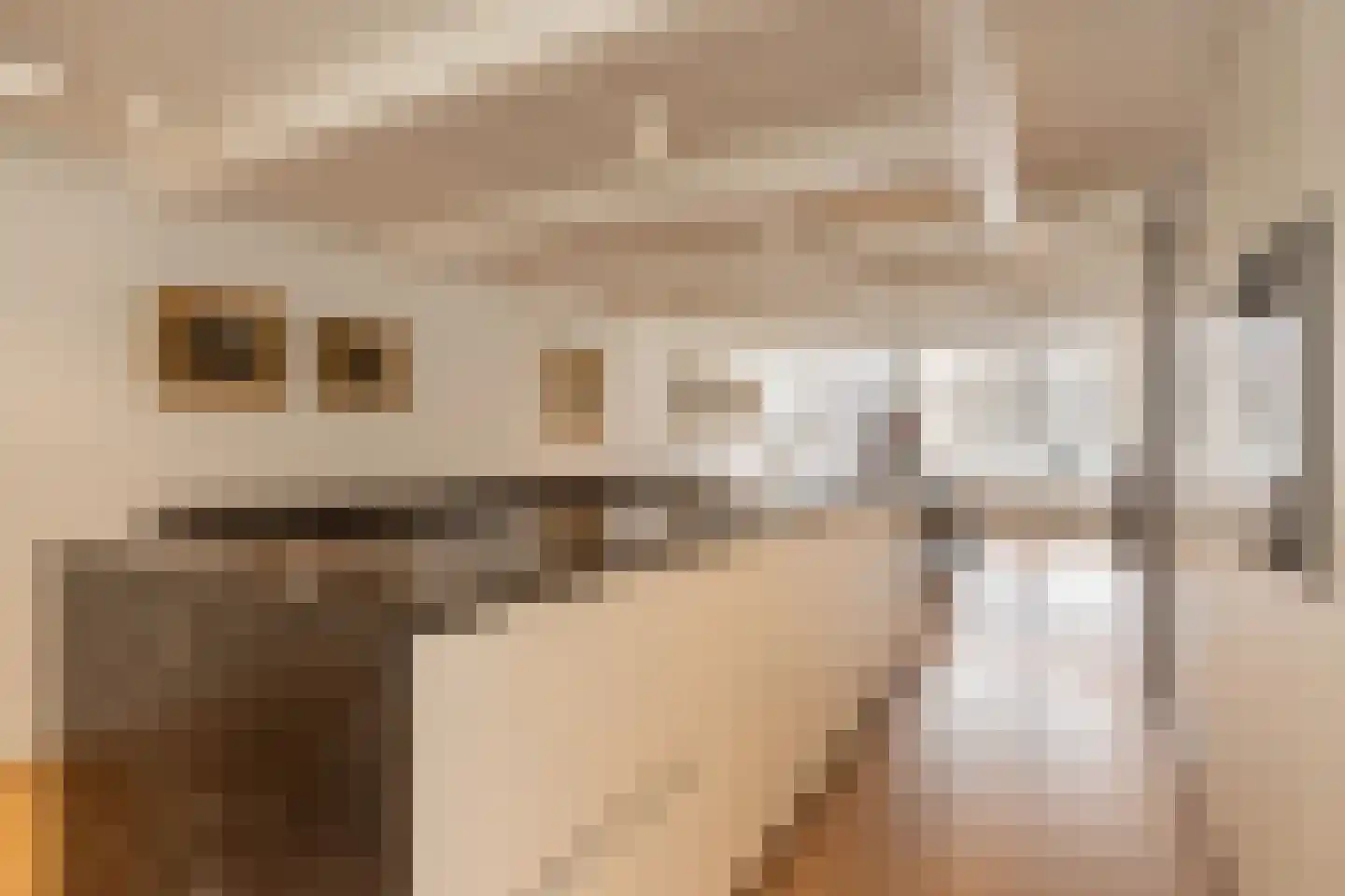 Keizersgracht 260 Amsterdam thumbnail 25