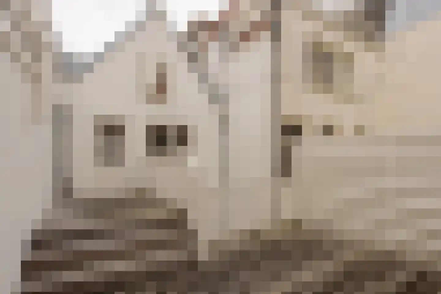 Keizersgracht 260 Amsterdam thumbnail 48