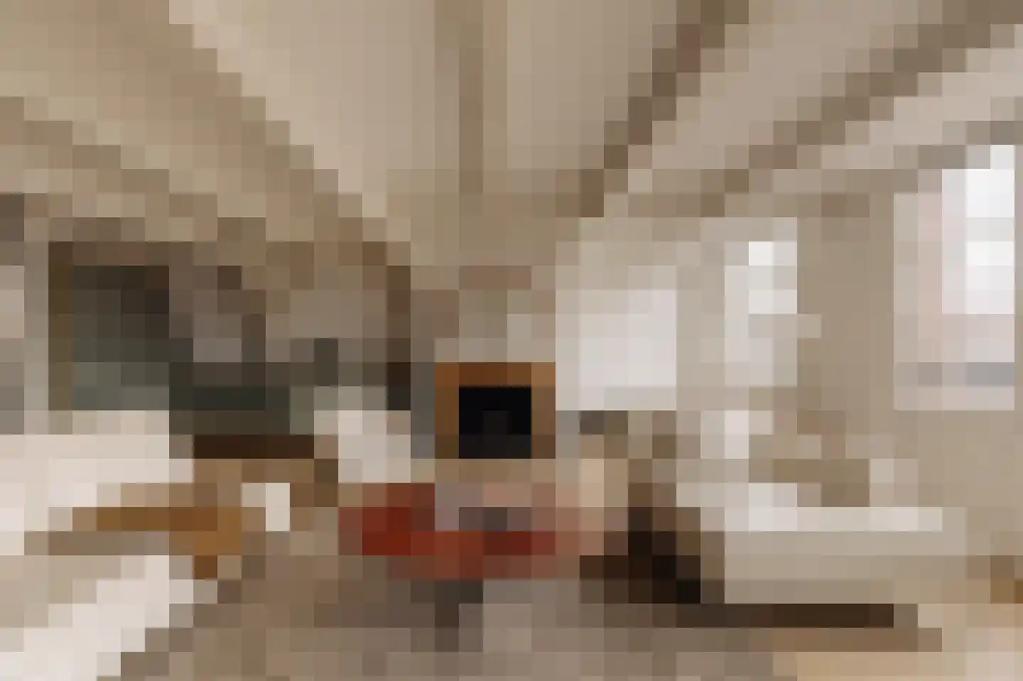 Keizersgracht 263 D Amsterdam thumbnail 18
