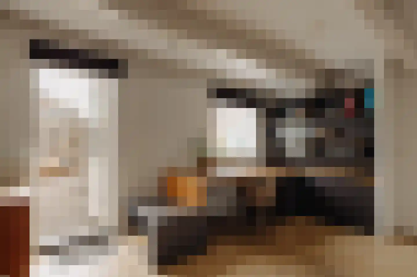 Keizersgracht 263 D Amsterdam thumbnail 21