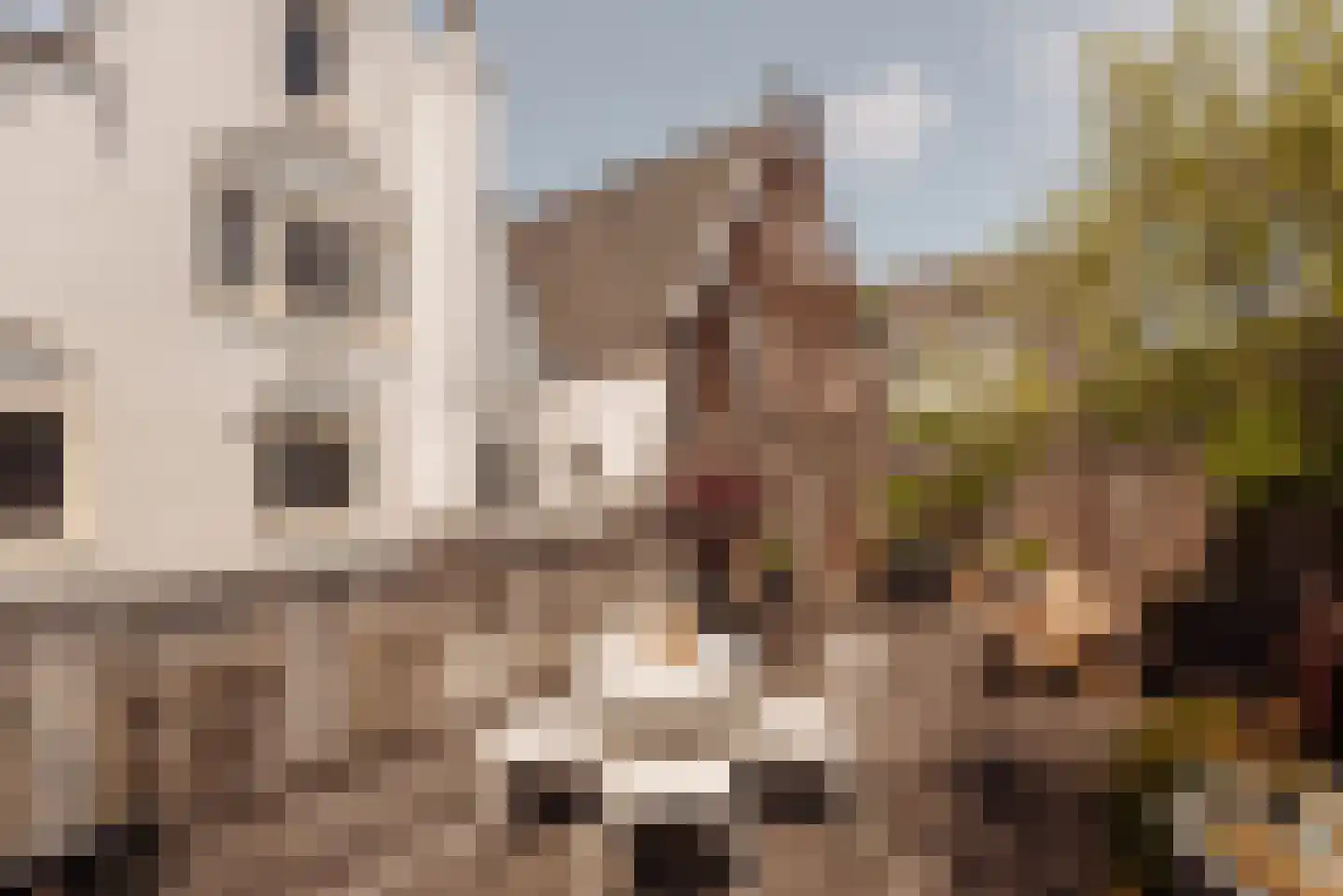 Keizersgracht 263 D Amsterdam thumbnail 22