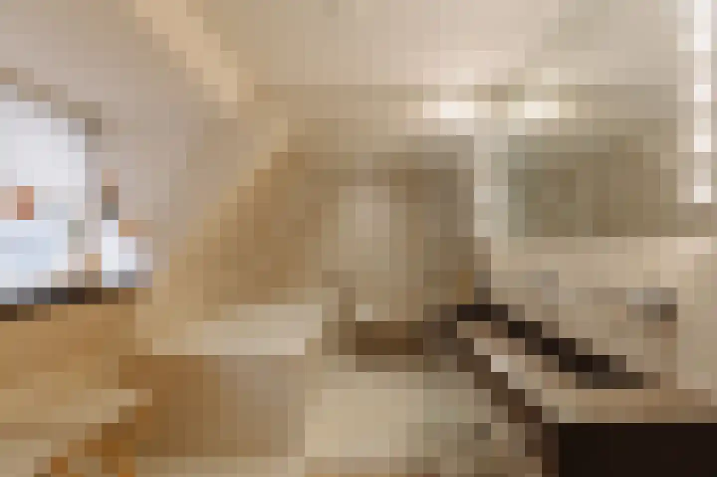 Keizersgracht 263 D Amsterdam thumbnail 29