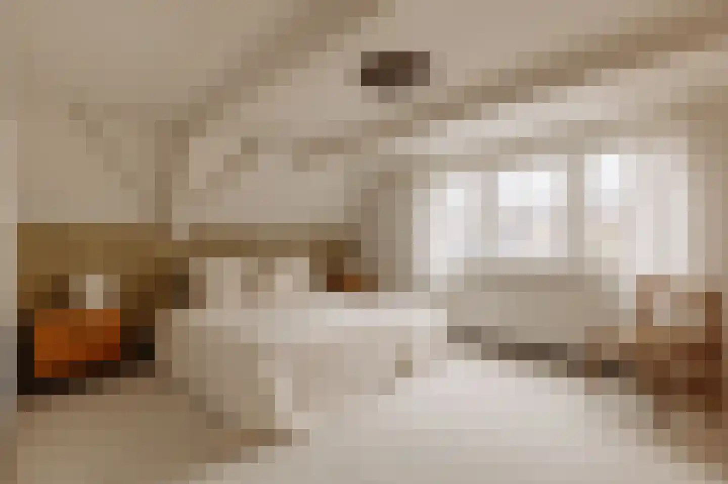 Keizersgracht 263 D Amsterdam thumbnail 32
