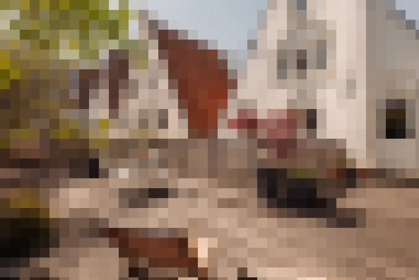 Keizersgracht 263 D Amsterdam thumbnail 4
