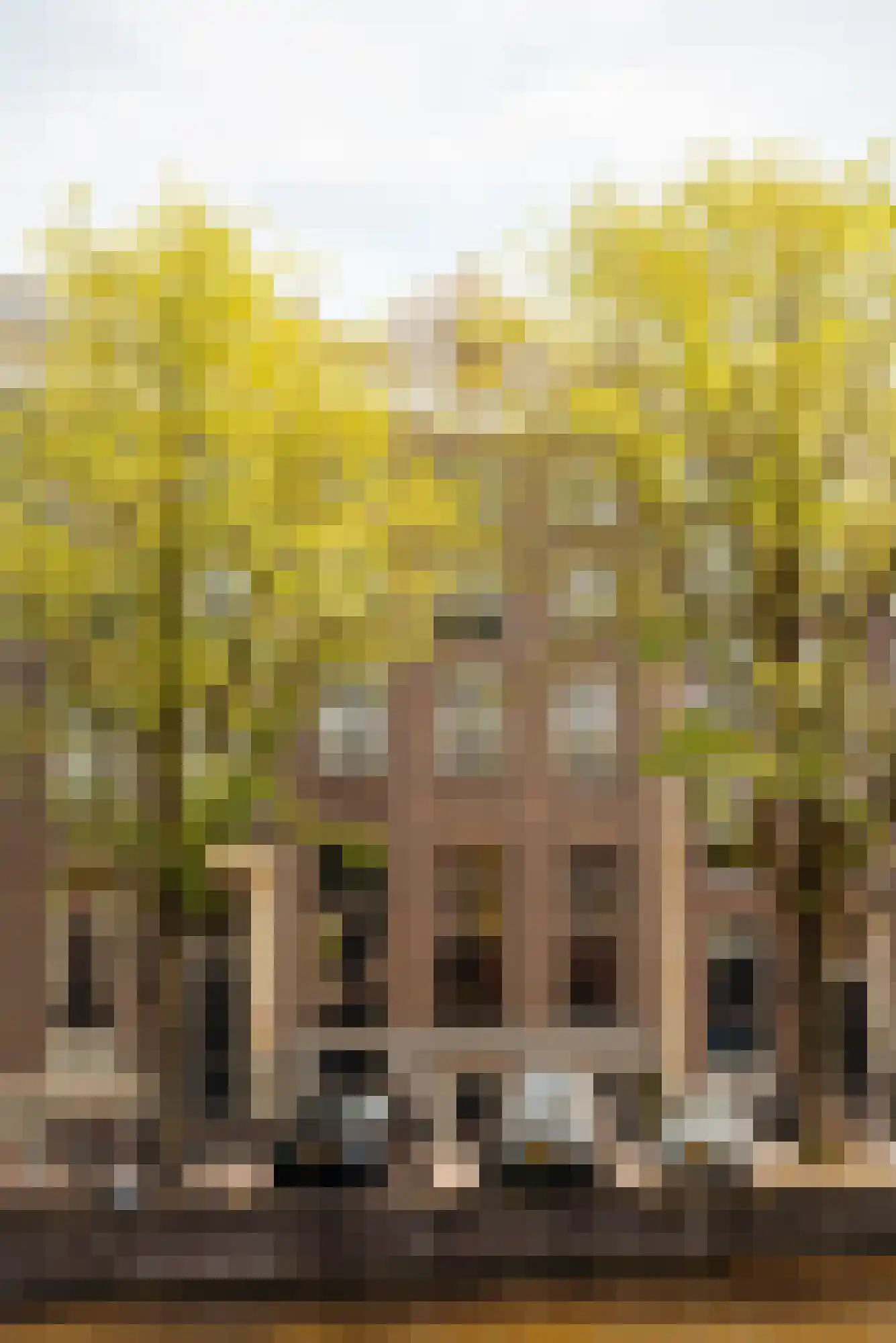 Keizersgracht 263 D Amsterdam thumbnail 40