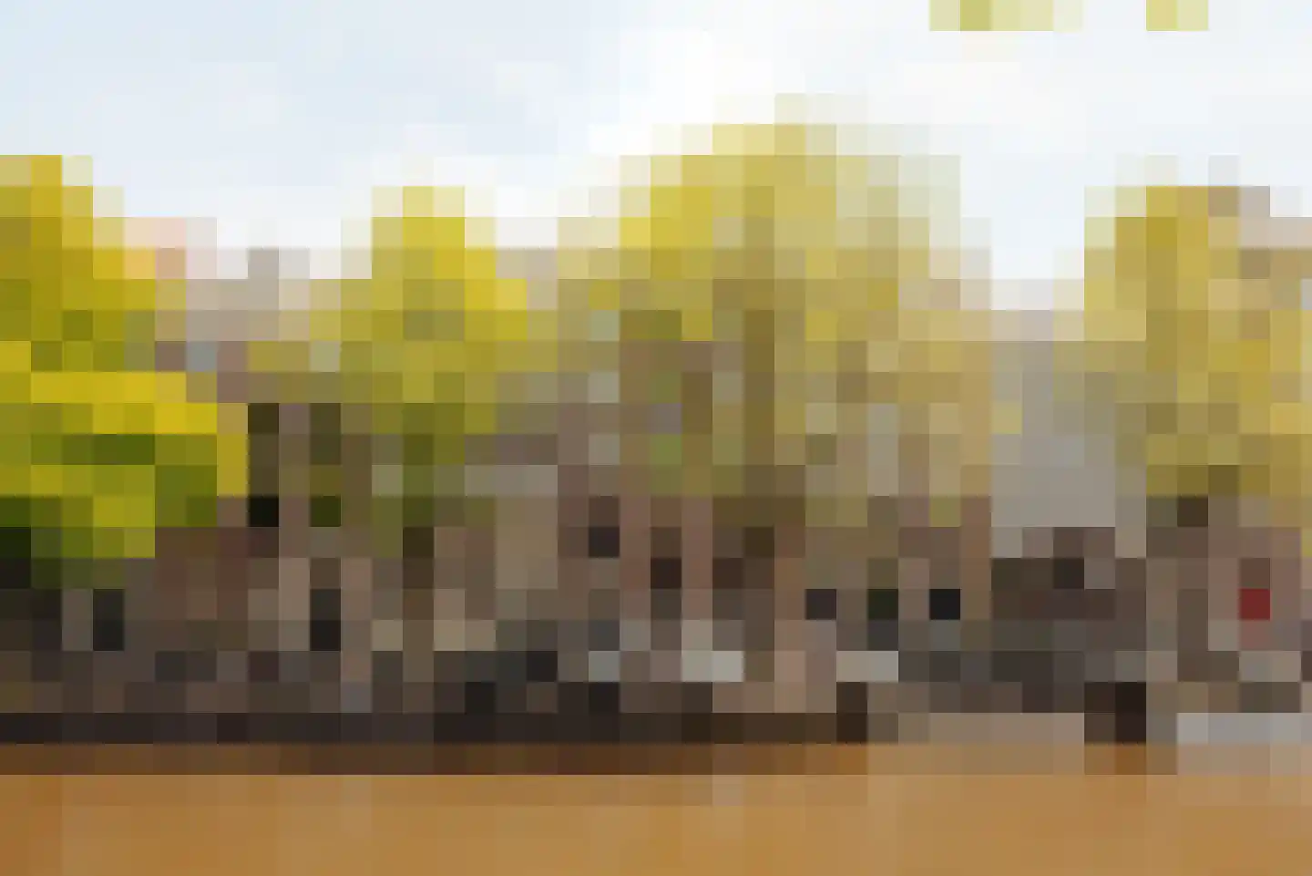 Keizersgracht 263 D Amsterdam thumbnail 5
