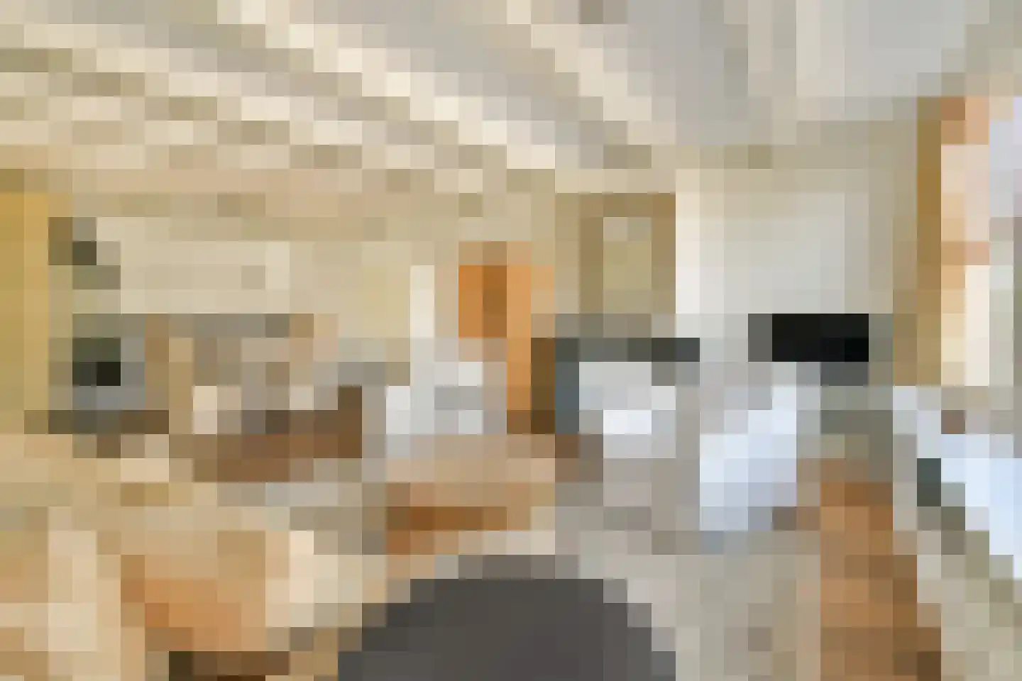 Keizersgracht 31 1V Amsterdam thumbnail 6