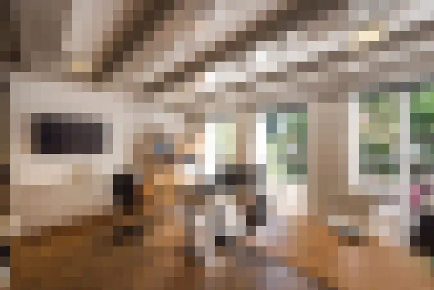 Keizersgracht 321 Amsterdam thumbnail 15