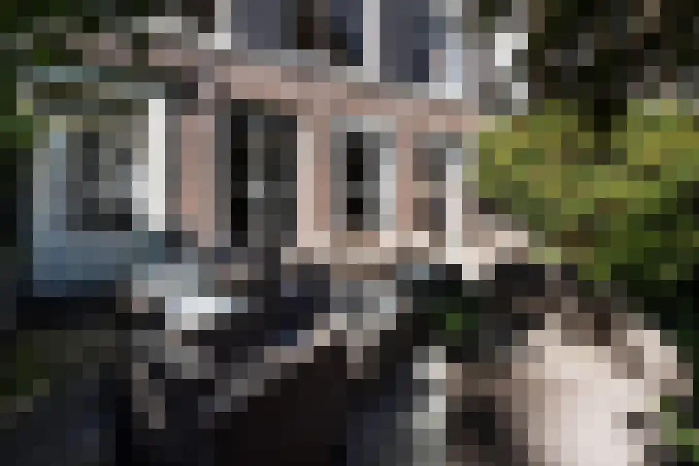Keizersgracht 321 Amsterdam thumbnail 16