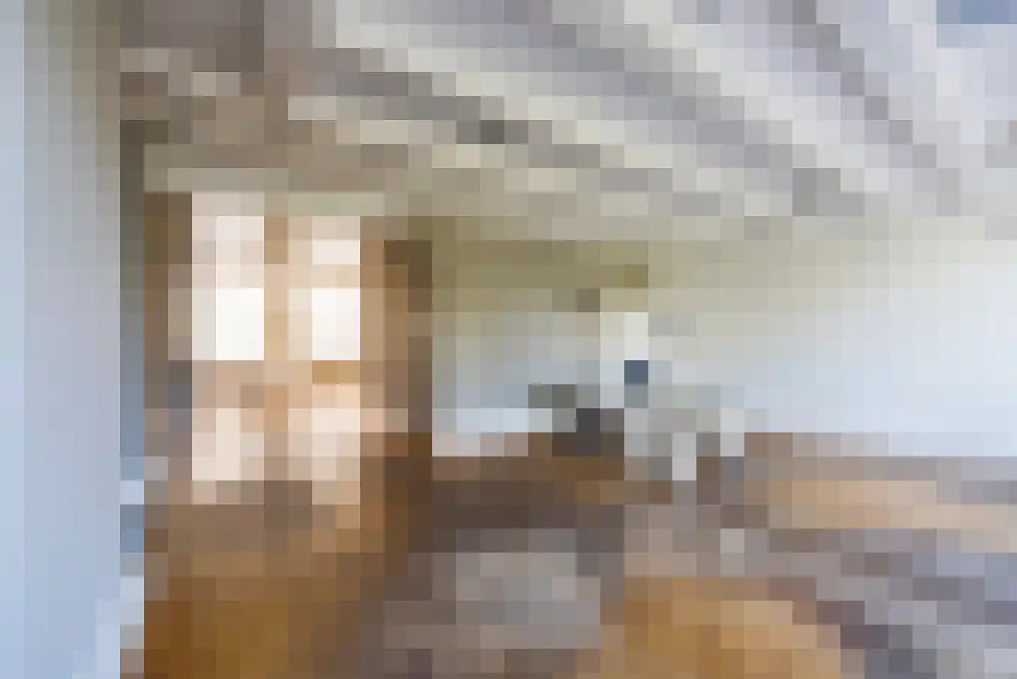 Keizersgracht 321 Amsterdam thumbnail 22