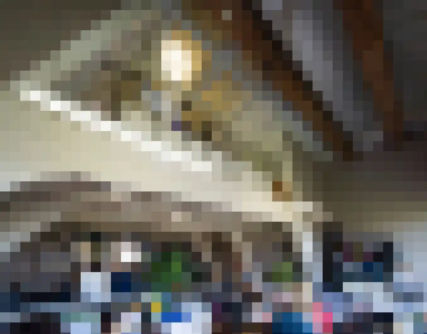 Keizersgracht 321 Amsterdam thumbnail 38