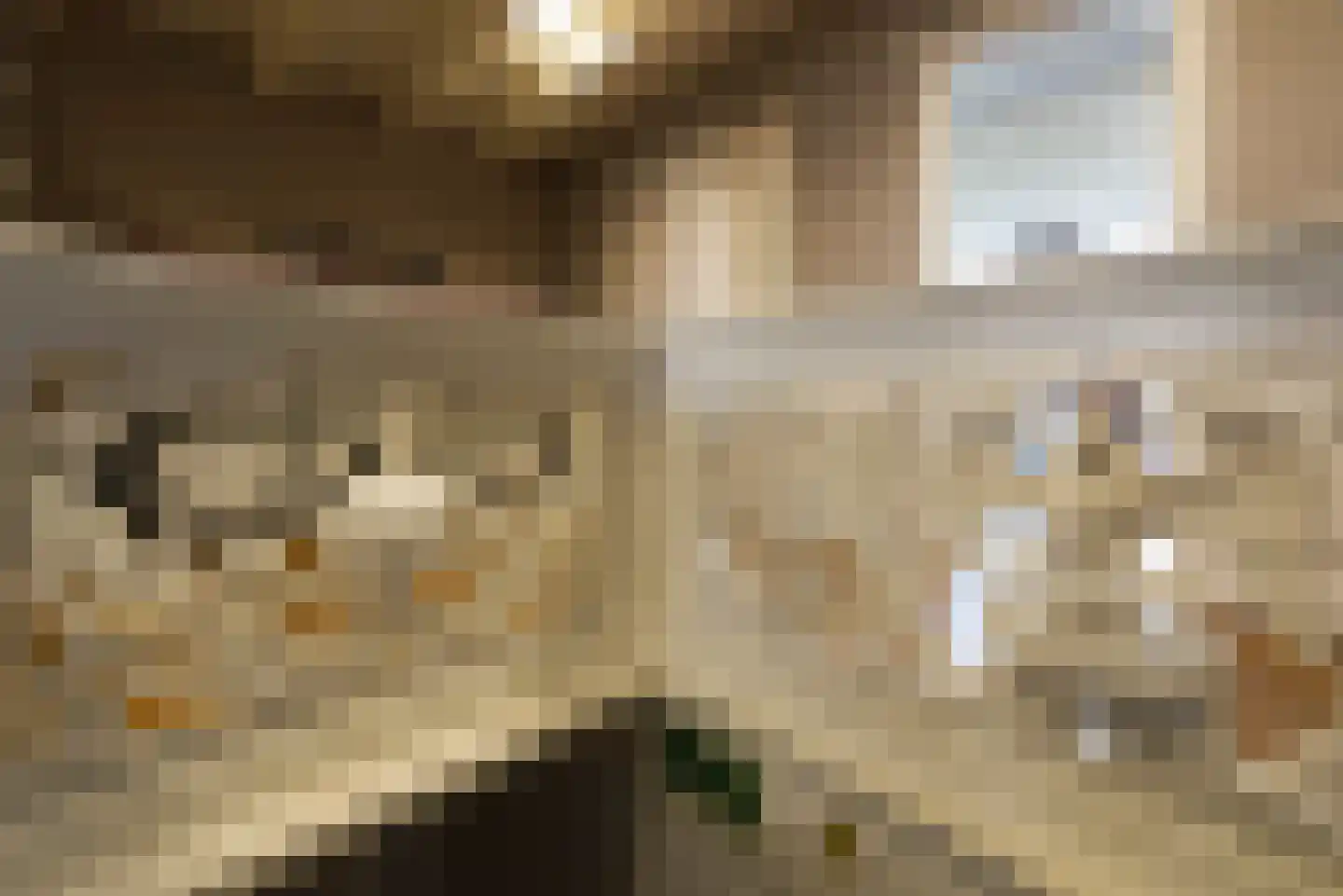 Keizersgracht 321 Amsterdam thumbnail 39